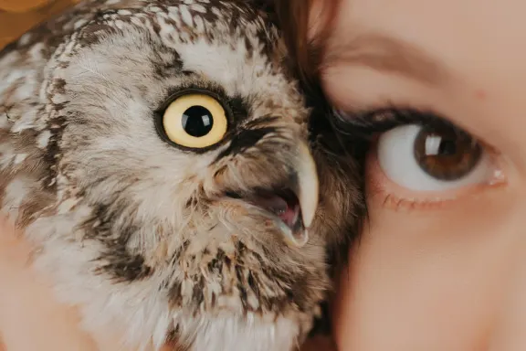 Casino AllStar Slots Stuðningur